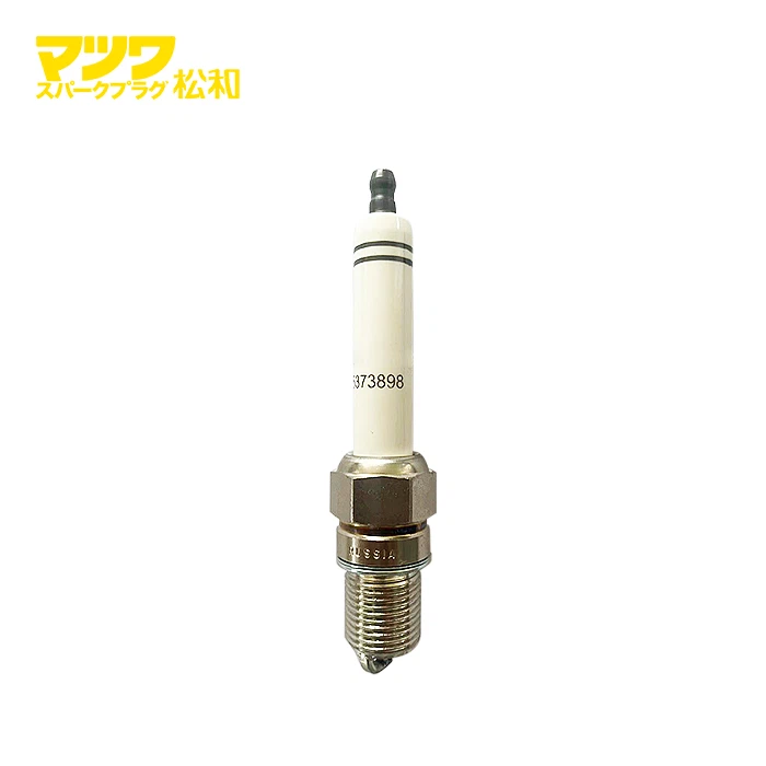 Heavy Duty Industry Spark Plugs